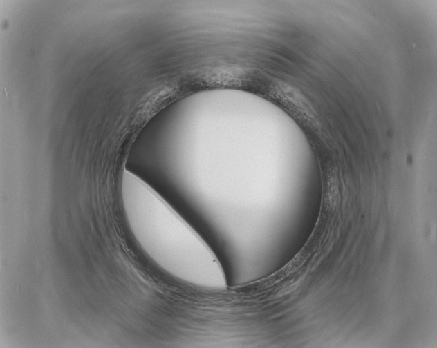 X0000086880259200704160947