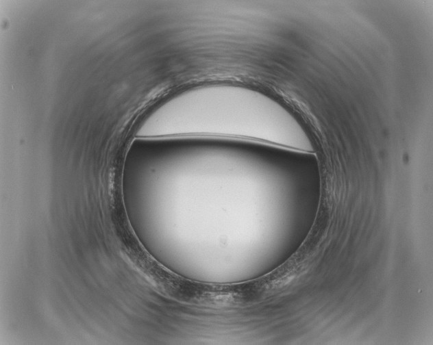 X0000086880260200704160947