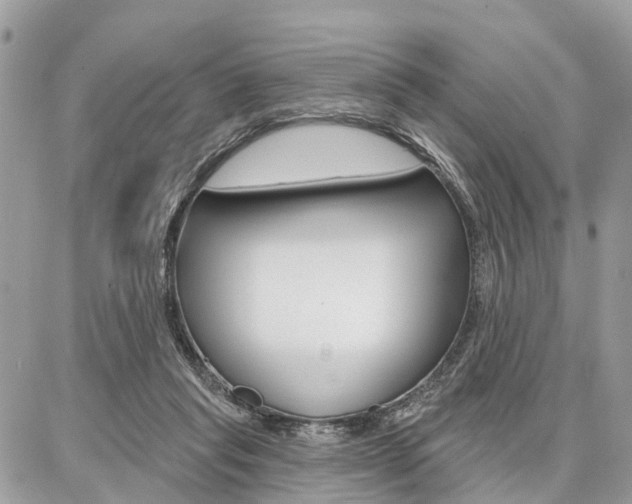 X0000086880261200704160947