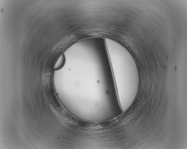 X0000086880263200704160947