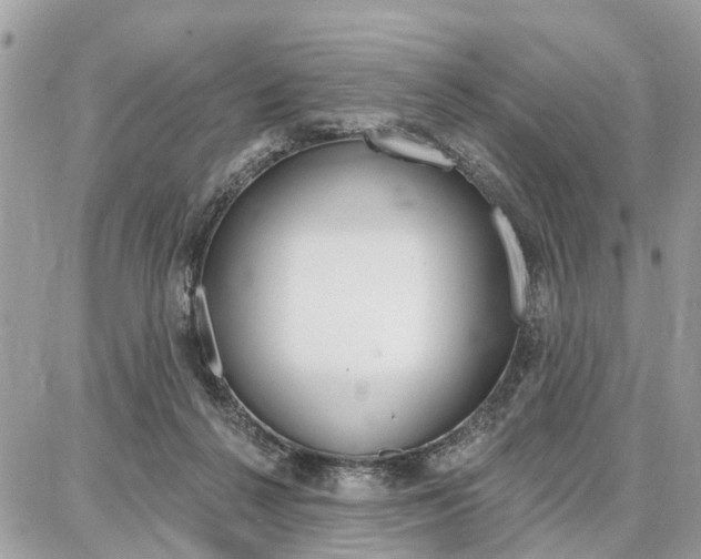 X0000086880264200704160947