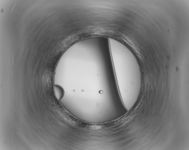 X0000086880265200704160947