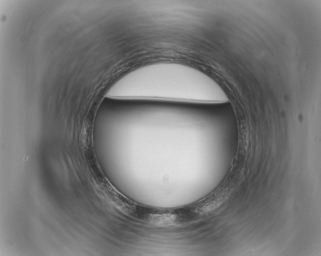 X0000086880266200704160947