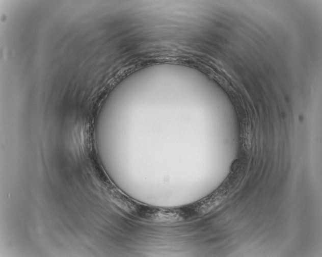 X0000086880270200704160947