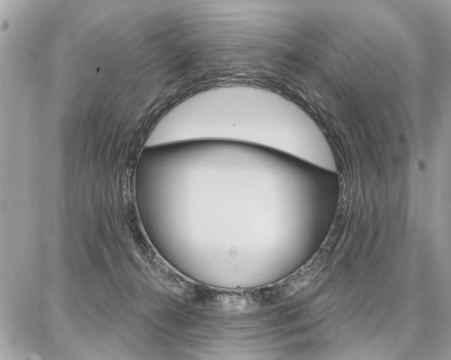 X0000086880272200704160947