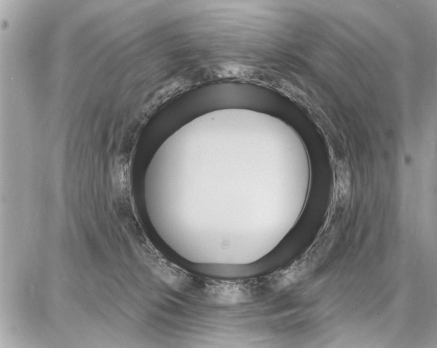 X0000086880276200704160948