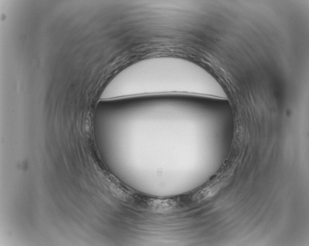 X0000086880277200704160948