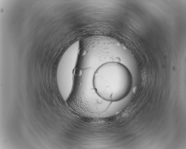 X0000086880278200704160948