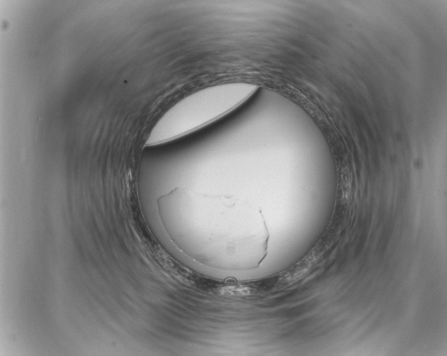 X0000086880279200704160948