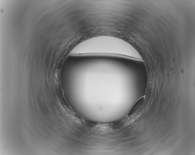 X0000086880280200704160948