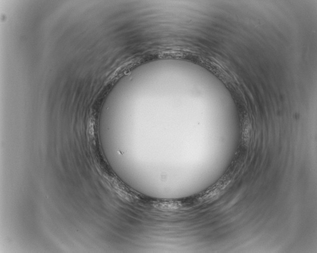 X0000086880282200704160948