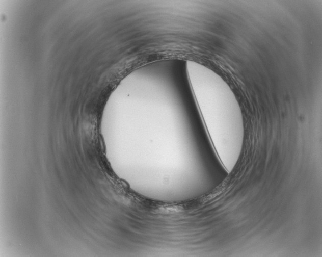 X0000086880283200704160948