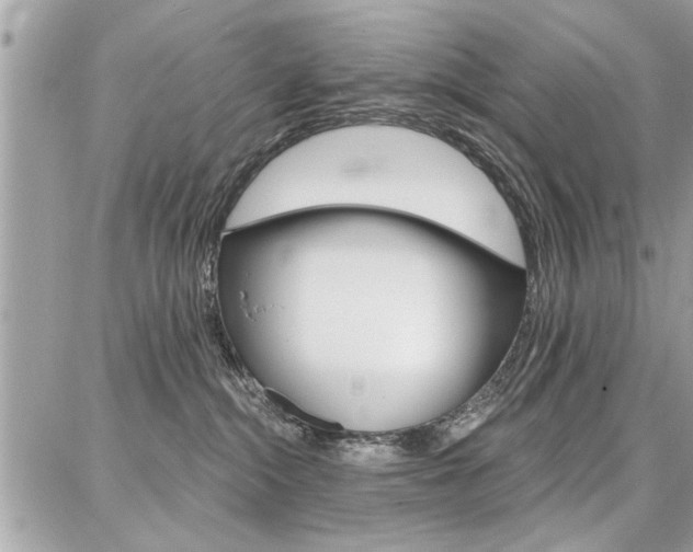 X0000086880284200704160948