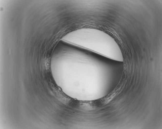 X0000086880285200704160948