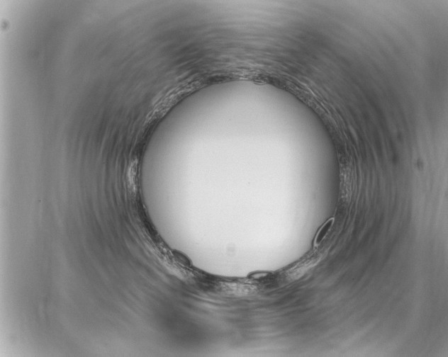 X0000086880286200704160948