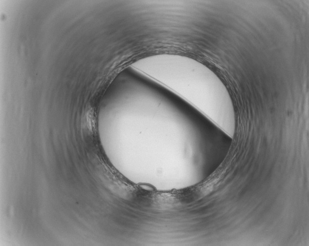 X0000086880287200704160948