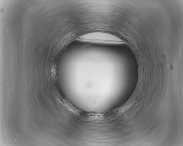 X0000086880288200704160948