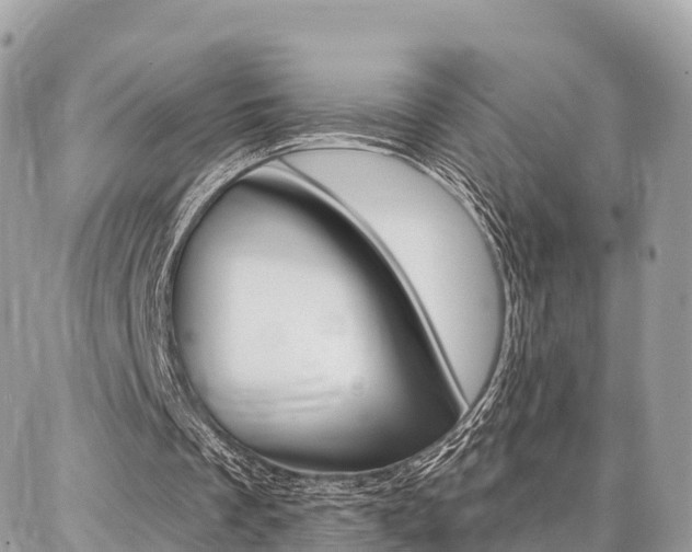 X0000086880289200704160947