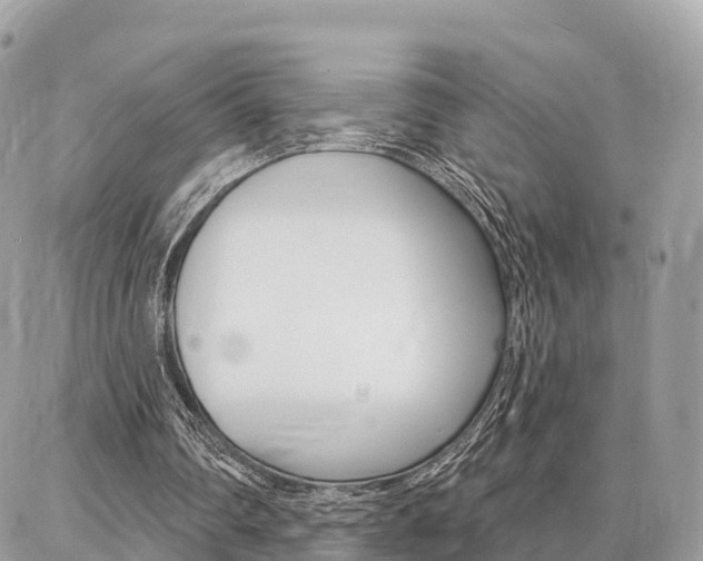 X0000086880290200704160947