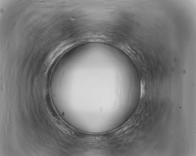 X0000086880291200704160947