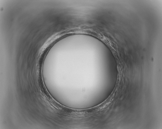 X0000086880295200704160947