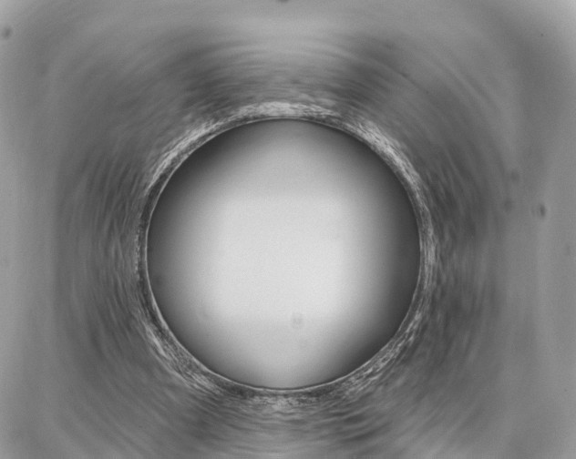 X0000086880297200704160947