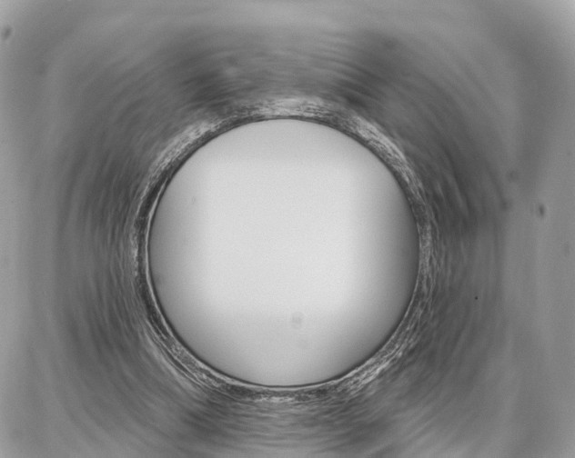 X0000086880298200704160947