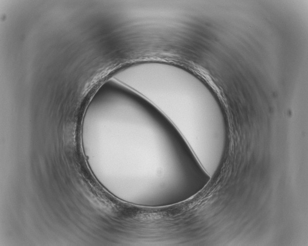 X0000086880299200704160947