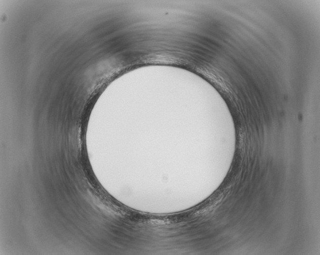 X0000086880302200704160947