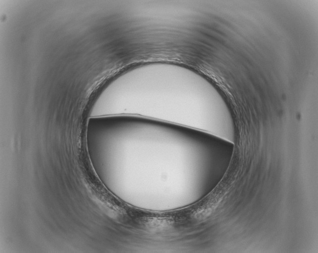 X0000086880303200704160947