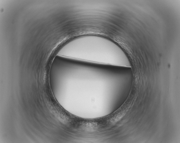 X0000086880304200704160947