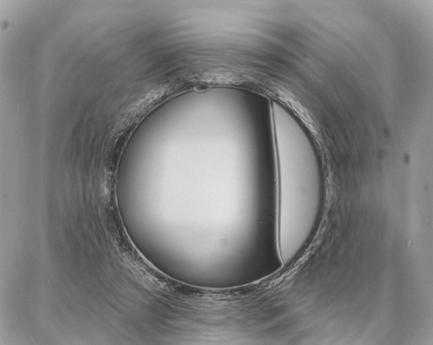 X0000086880305200704160947