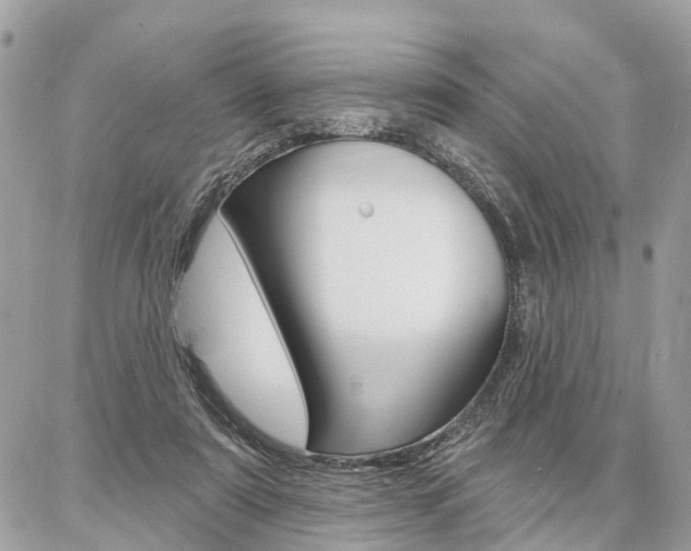 X0000086880307200704160947