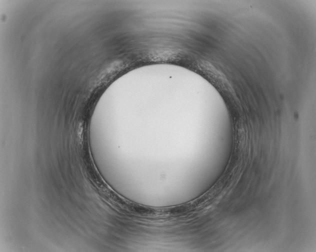 X0000086880308200704160947