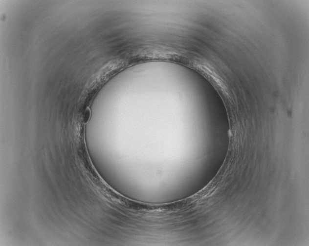 X0000086880309200704160947