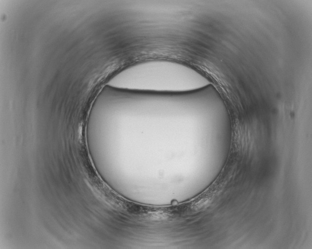 X0000086880310200704160947