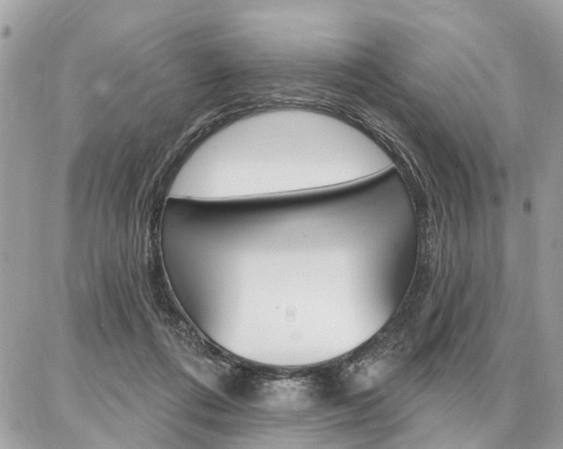 X0000086880312200704160947