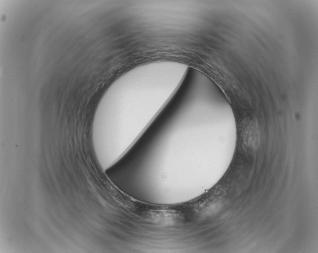 X0000086880316200704160946