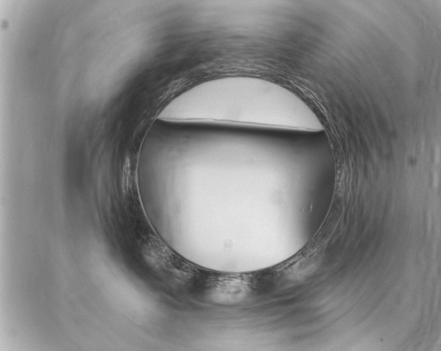X0000086880335200704160946