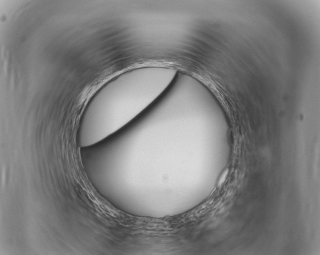 X0000086880337200704160945