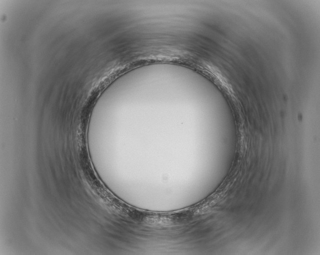 X0000086880354200704160946
