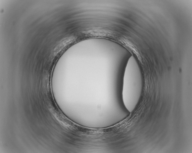 X0000086880398200704160945