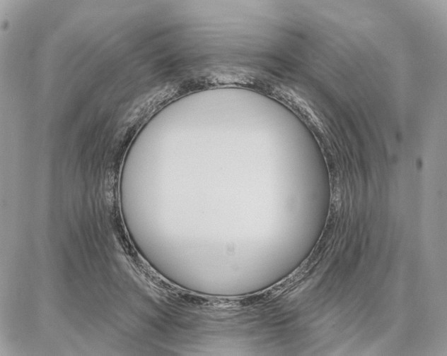 X0000086880402200704160945