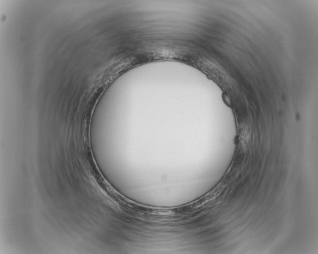 X0000086880410200704160945