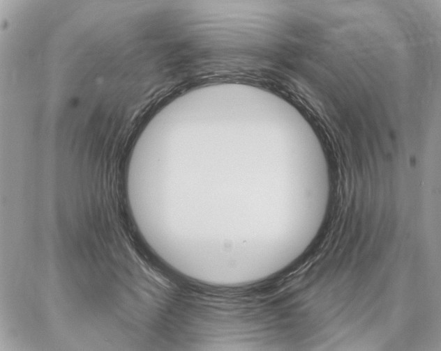 X0000086880412200704160945