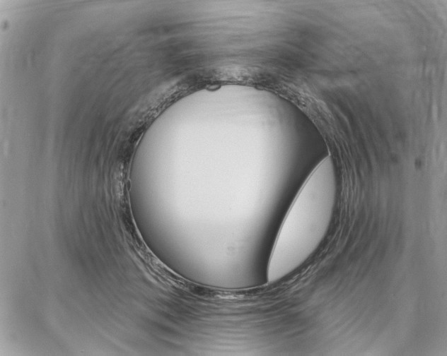 X0000086880413200704160945