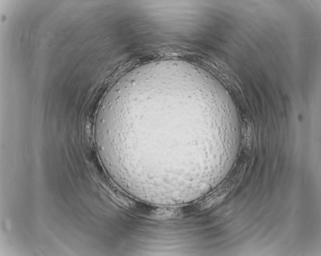 X0000086880418200704160945