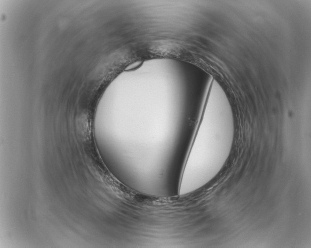 X0000086880420200704160945