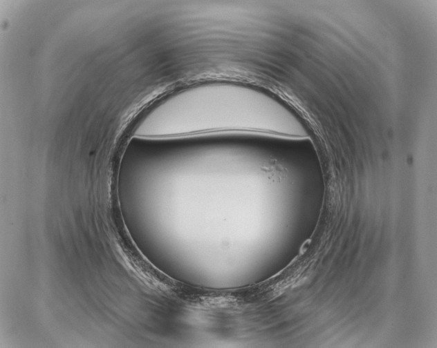 X0000086880446200704160944