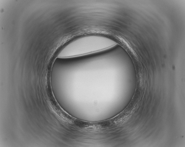 X0000086880447200704160944